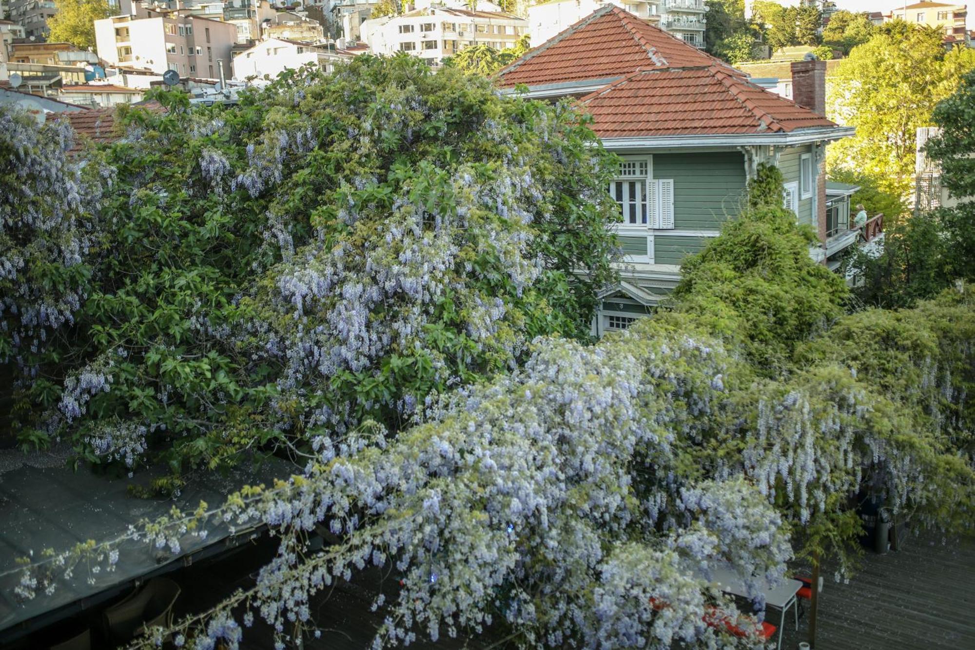 Loop Hotel Bosphorus イスタンブール エクステリア 写真